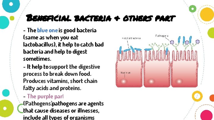 Beneficial bacteria & others part - The blue one is good bacteria (same as