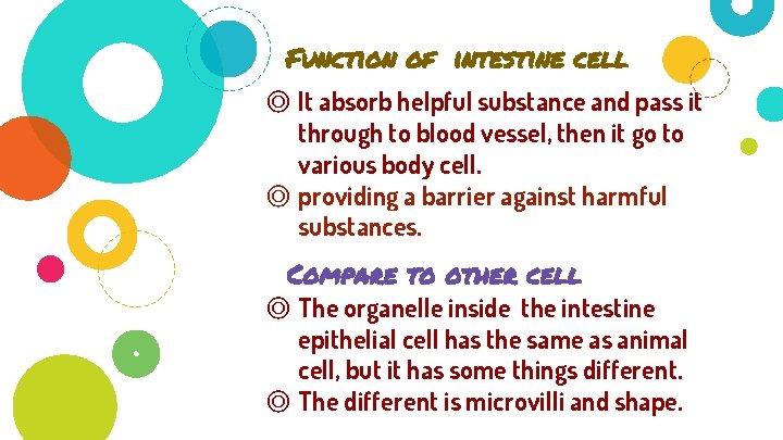 Function of intestine cell ◎ It absorb helpful substance and pass it through to