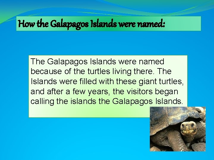 How the Galapagos Islands were named: The Galapagos Islands were named because of the