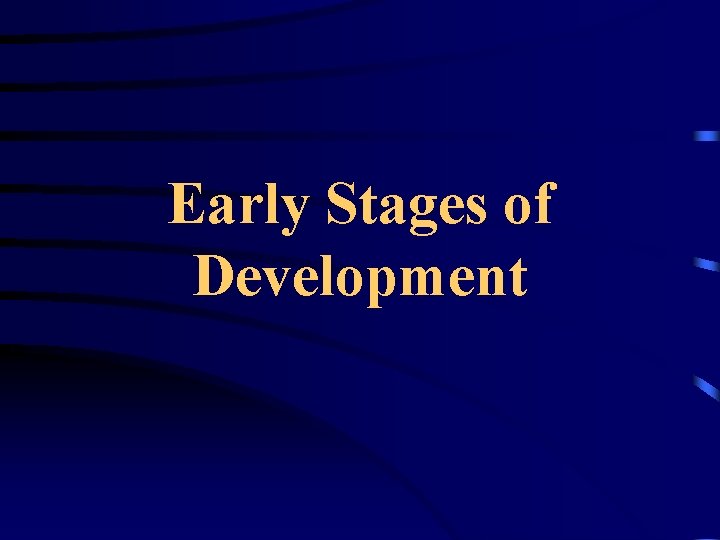 Early Stages of Development 