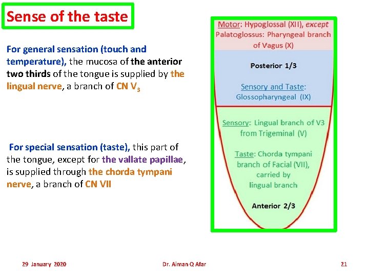 Sense of the taste For general sensation (touch and temperature), the mucosa of the Sense of the taste For general sensation (touch and temperature), the mucosa of the