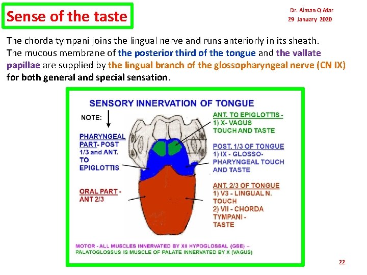 Sense of the taste Dr. Aiman Q Afar 29 January 2020 The chorda tympani Sense of the taste Dr. Aiman Q Afar 29 January 2020 The chorda tympani