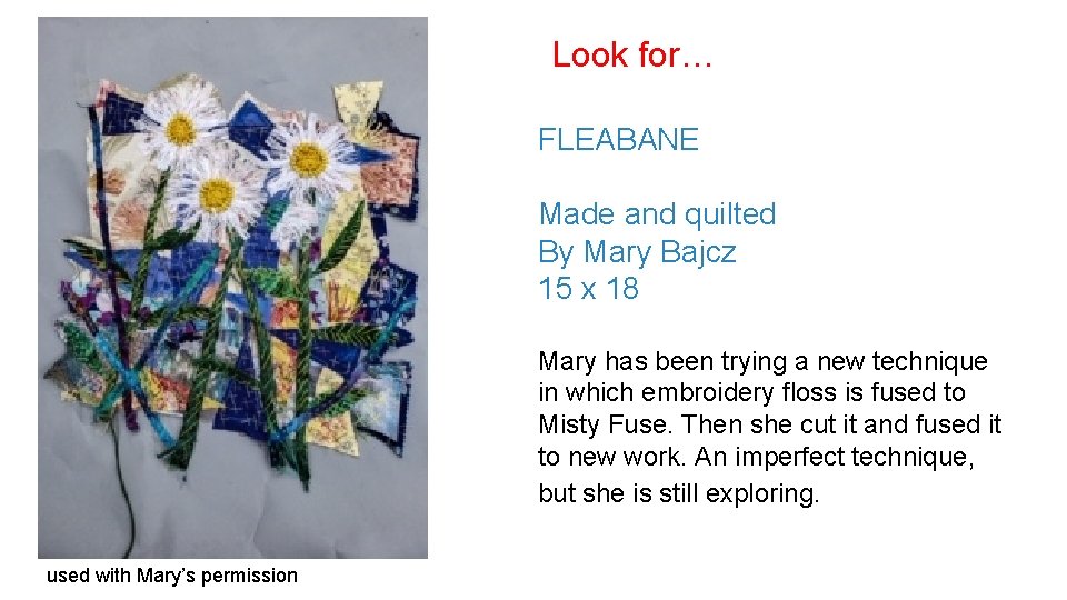 Look for… FLEABANE Made and quilted By Mary Bajcz 15 x 18 Mary has