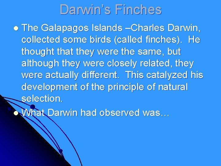 Darwin’s Finches The Galapagos Islands –Charles Darwin, collected some birds (called finches). He thought Darwin’s Finches The Galapagos Islands –Charles Darwin, collected some birds (called finches). He thought