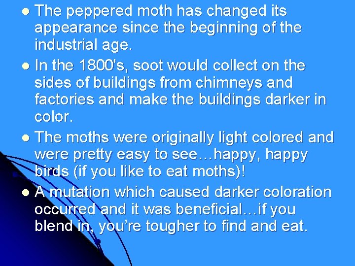 The peppered moth has changed its appearance since the beginning of the industrial age. The peppered moth has changed its appearance since the beginning of the industrial age.