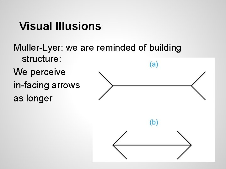 Visual Illusions Muller-Lyer: we are reminded of building structure: We perceive in-facing arrows as