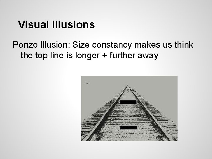 Visual Illusions Ponzo Illusion: Size constancy makes us think the top line is longer