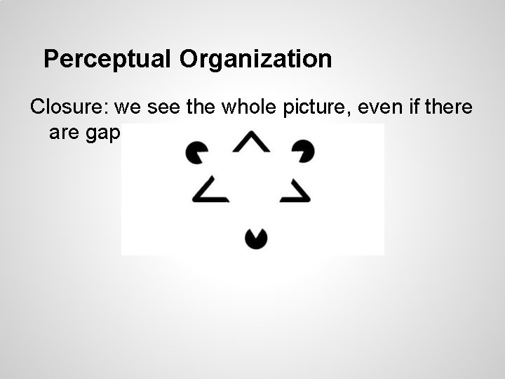 Perceptual Organization Closure: we see the whole picture, even if there are gaps 