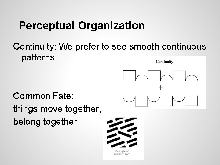 Perceptual Organization Continuity: We prefer to see smooth continuous patterns Common Fate: things move