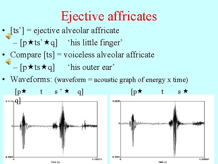 Ejective affricates • [ts’] = ejective alveolar affricate – [p ts’ q] ‘his little