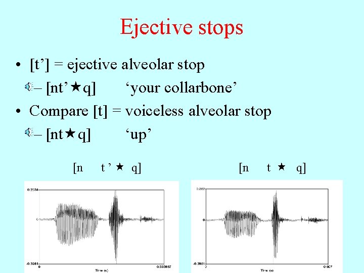 Ejective stops • [t’] = ejective alveolar stop – [nt’ q] ‘your collarbone’ •