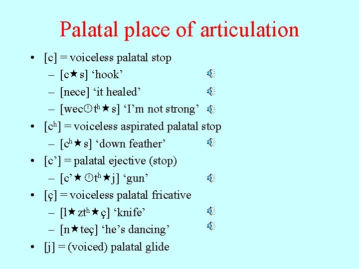 Palatal place of articulation • [c] = voiceless palatal stop – [c s] ‘hook’