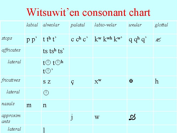 Witsuwit’en consonant chart labial stops p p’ t th t’ affricates t t h