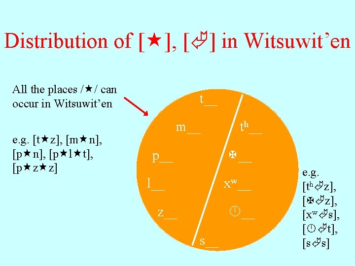 Distribution of [ ], [ ] in Witsuwit’en All the places / / can