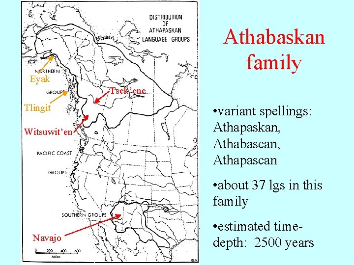 Athabaskan family Eyak Tsek’ene Tlingit Witsuwit’en • variant spellings: Athapaskan, Athabascan, Athapascan • about