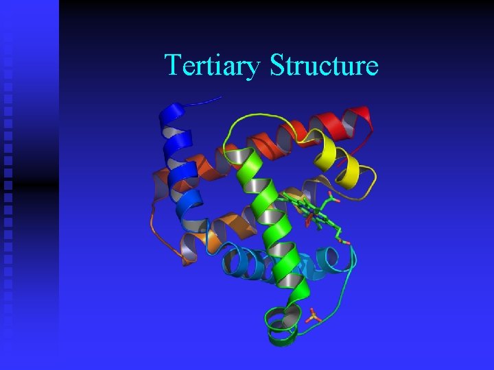 Tertiary Structure 