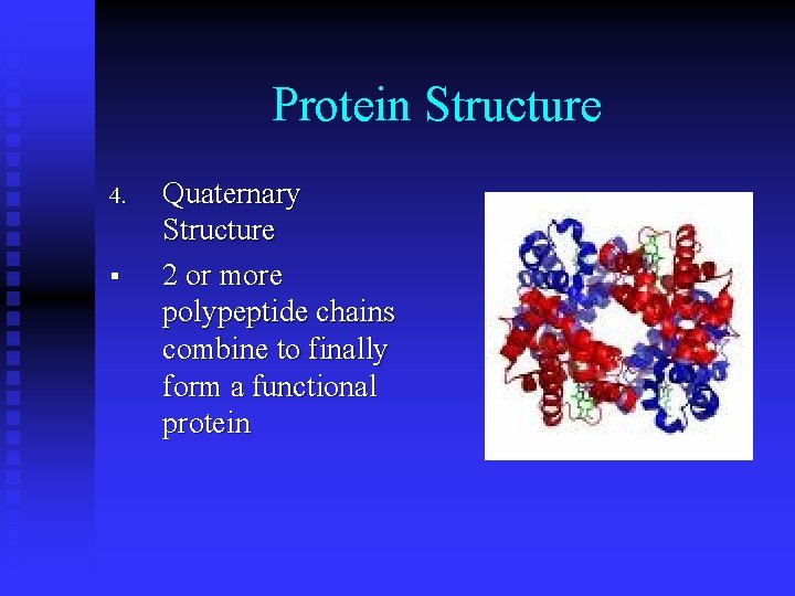 Protein Structure 4. § Quaternary Structure 2 or more polypeptide chains combine to finally
