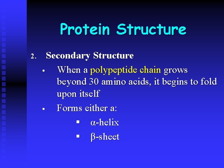 Protein Structure 2. Secondary Structure § When a polypeptide chain grows beyond 30 amino