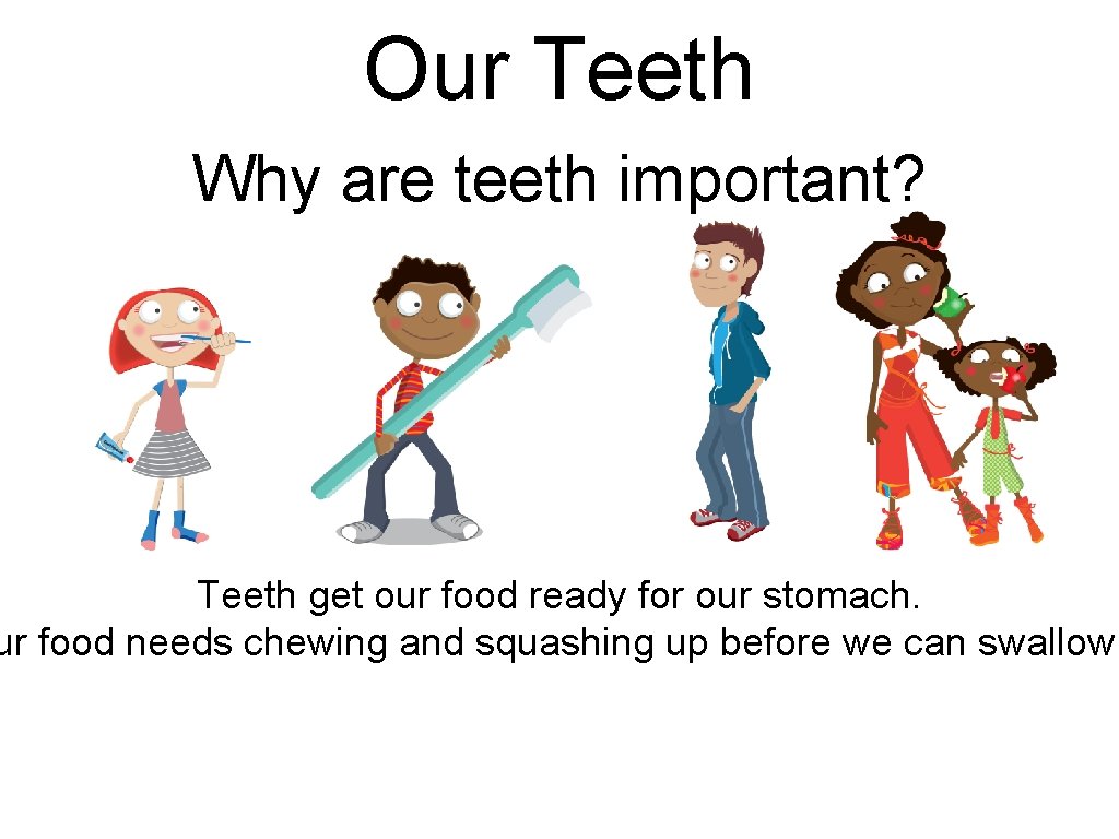 Our Teeth Why are teeth important? Teeth get our food ready for our stomach. Our Teeth Why are teeth important? Teeth get our food ready for our stomach.