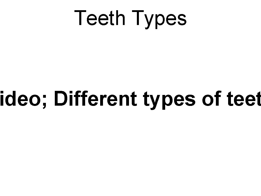 Teeth Types ideo; Different types of teet Teeth Types ideo; Different types of teet