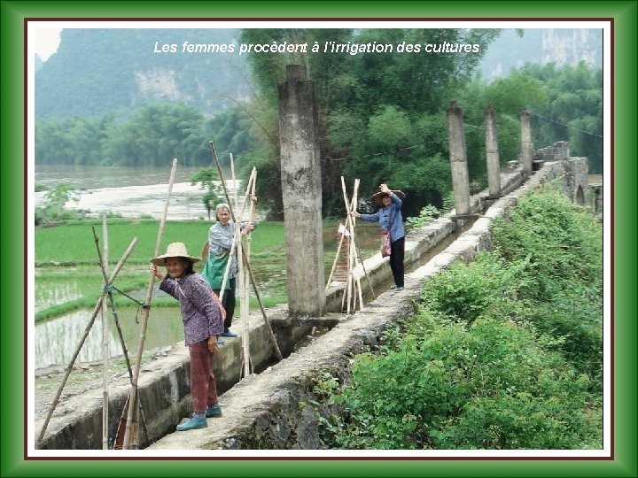 Les femmes procèdent à l’irrigation des cultures 