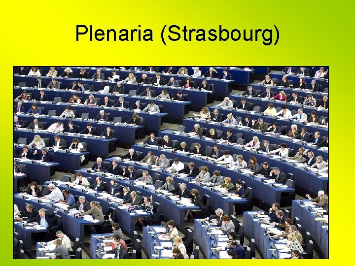 Plenaria (Strasbourg) 