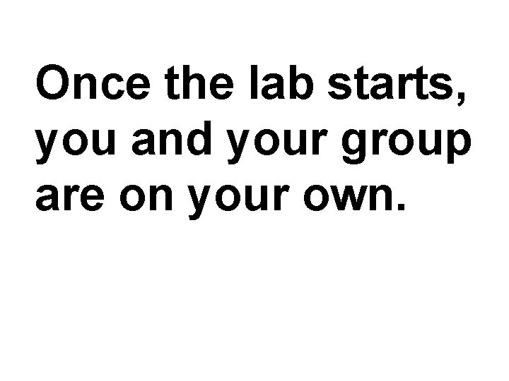 Once the lab starts, you and your group are on your own. 