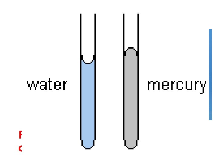 Lab Equipment Read the bottom of the meniscus. Volumetric Flask 