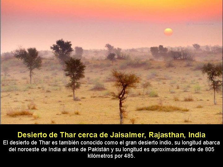 Desierto de Thar cerca de Jaisalmer, Rajasthan, India El desierto de Thar es también