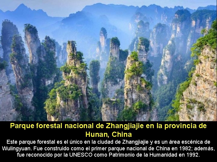 Parque forestal nacional de Zhangjiajie en la provincia de Hunan, China Este parque forestal