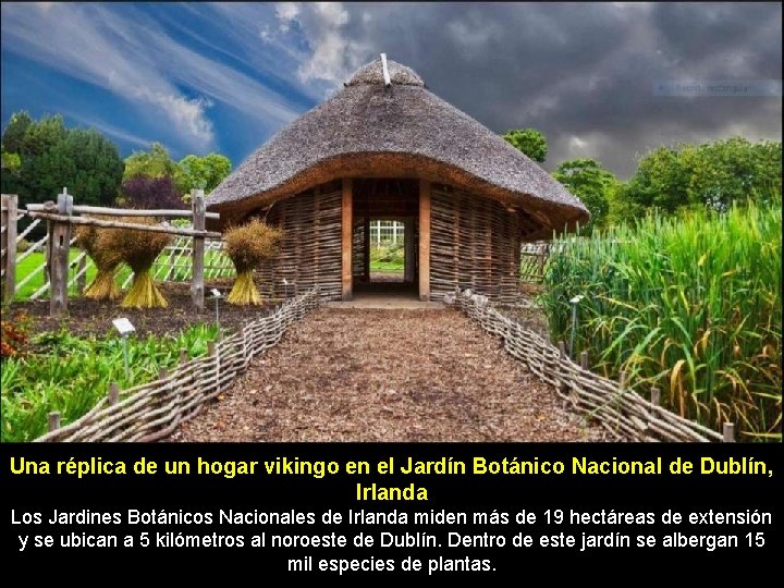 Una réplica de un hogar vikingo en el Jardín Botánico Nacional de Dublín, Irlanda