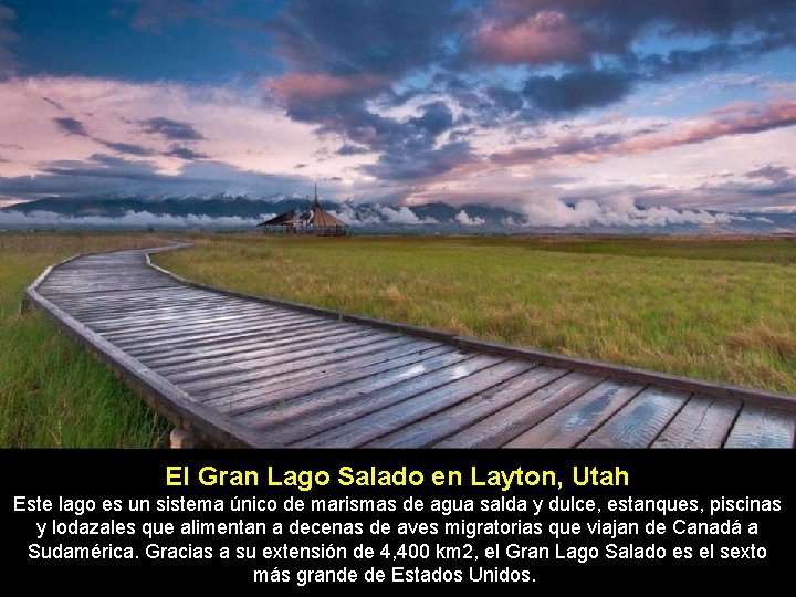 El Gran Lago Salado en Layton, Utah Este lago es un sistema único de