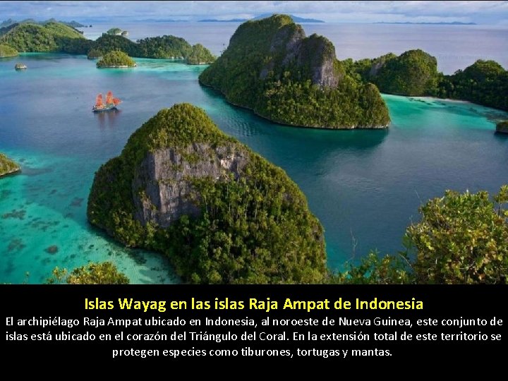 Islas Wayag en las islas Raja Ampat de Indonesia El archipiélago Raja Ampat ubicado