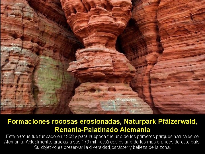 Formaciones rocosas erosionadas, Naturpark Pfälzerwald, Renania-Palatinado Alemania Este parque fundado en 1958 y para