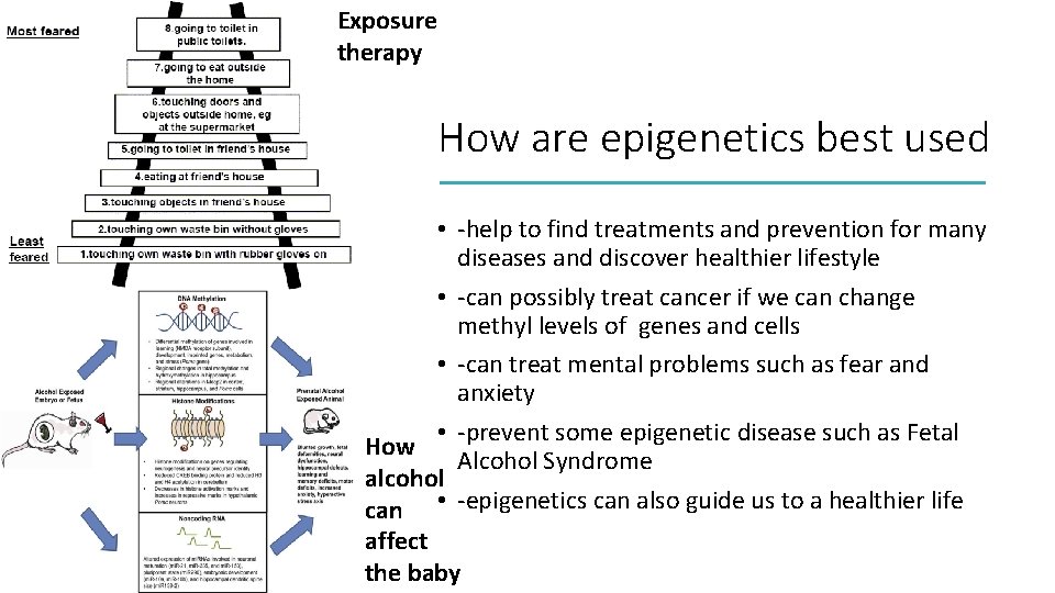 Exposure therapy How are epigenetics best used • -help to find treatments and prevention