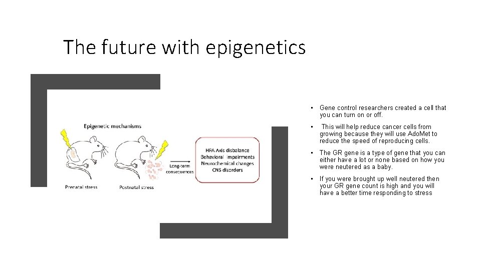 The future with epigenetics • Gene control researchers created a cell that you can