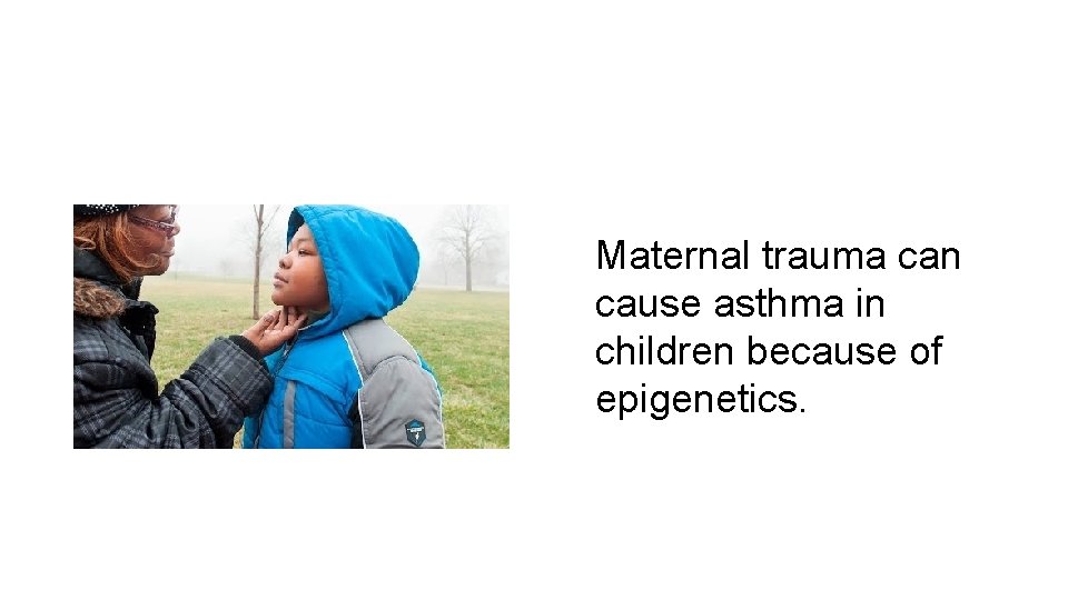 Maternal trauma can cause asthma in children because of epigenetics. 