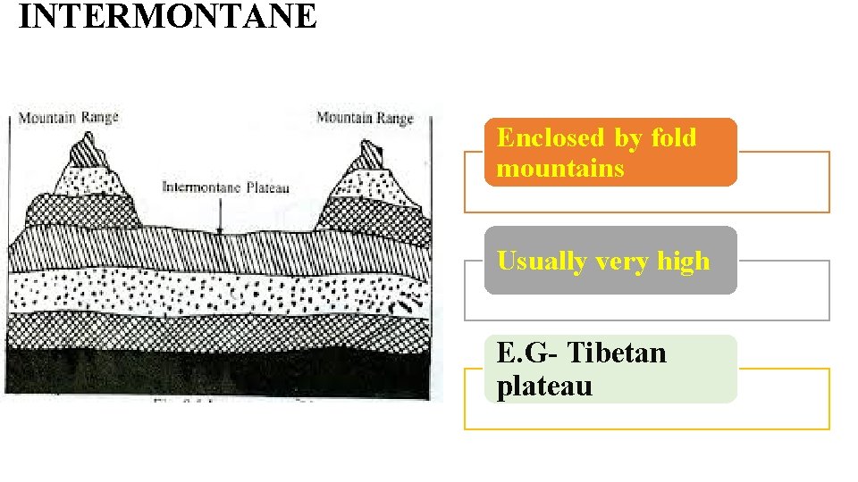 INTERMONTANE Enclosed by fold mountains Usually very high E. G- Tibetan plateau 