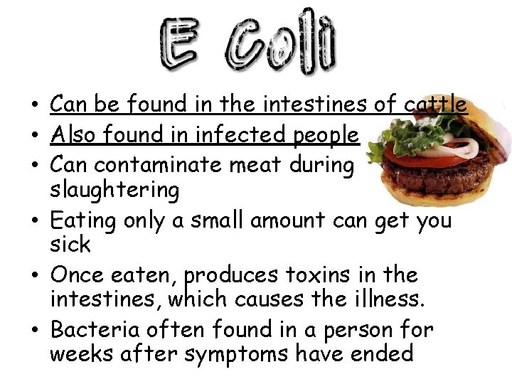  • Can be found in the intestines of cattle • Also found in