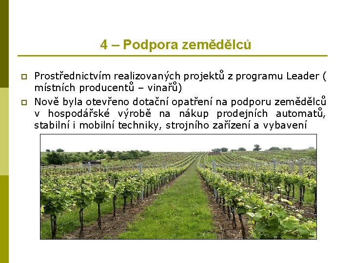 4 – Podpora zemědělců p p Prostřednictvím realizovaných projektů z programu Leader ( místních