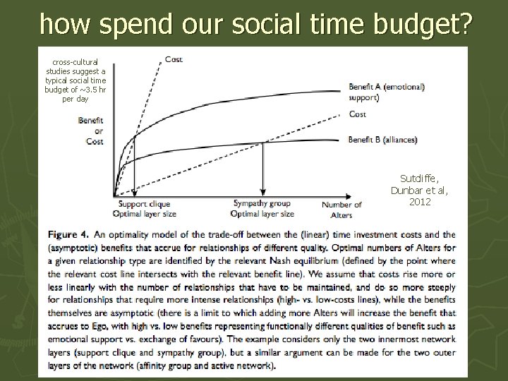 how spend our social time budget? cross-cultural studies suggest a typical social time budget