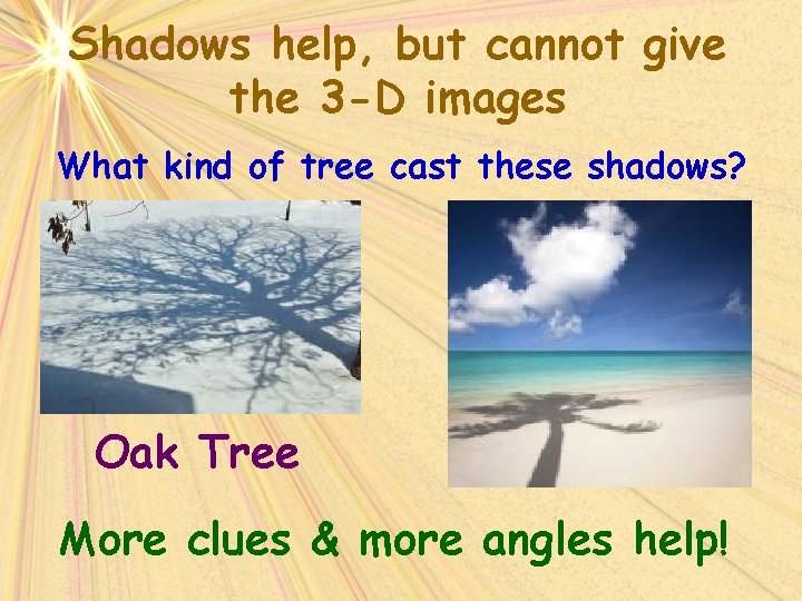 Shadows help, but cannot give the 3 -D images What kind of tree cast