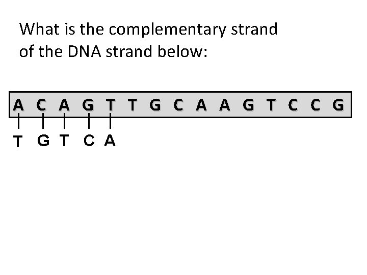 What is the complementary strand of the DNA strand below: A C A G