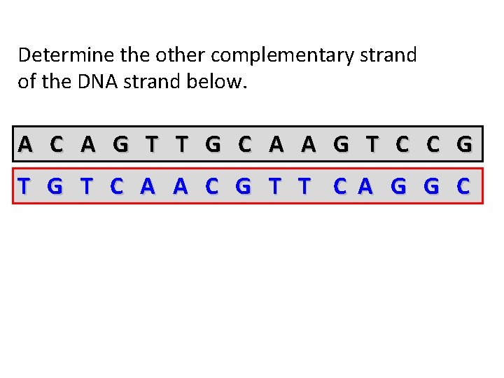 Determine the other complementary strand of the DNA strand below. A C A G