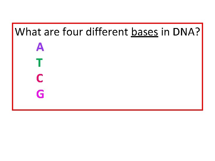 What are four different bases in DNA? A T C G 