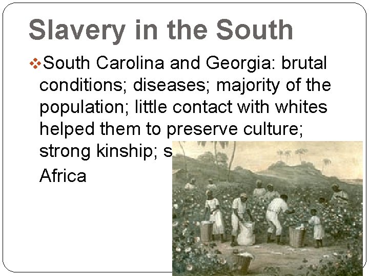 Slavery in the South v. South Carolina and Georgia: brutal conditions; diseases; majority of