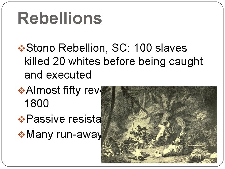 Rebellions v. Stono Rebellion, SC: 100 slaves killed 20 whites before being caught and