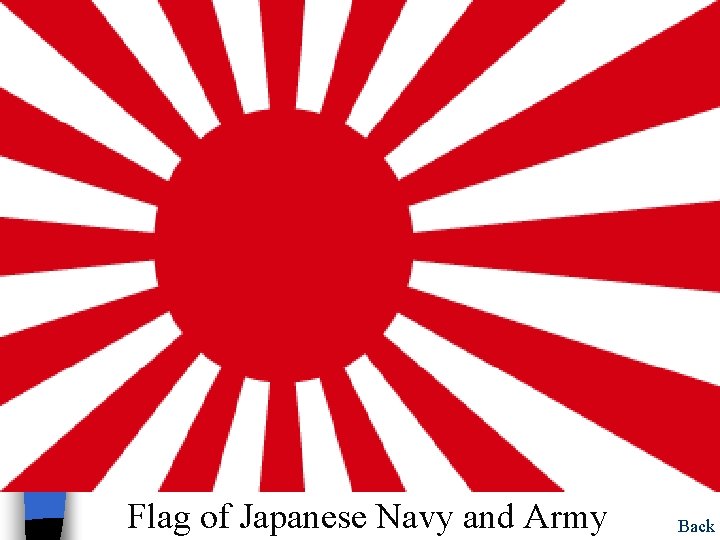 Japanese Flag of Japanese Navy and Army Back 