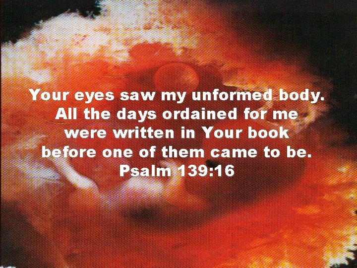 Your eyes saw my unformed body. All the days ordained for me were written