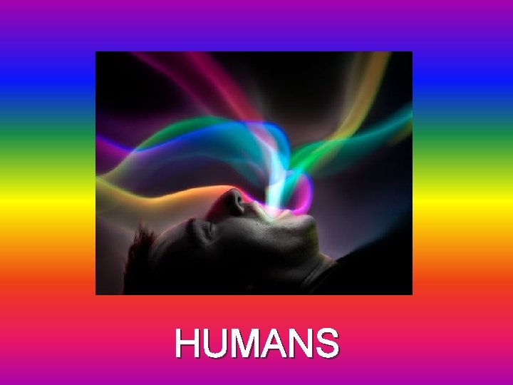 HUMANS 